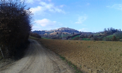 da una strada di campagna